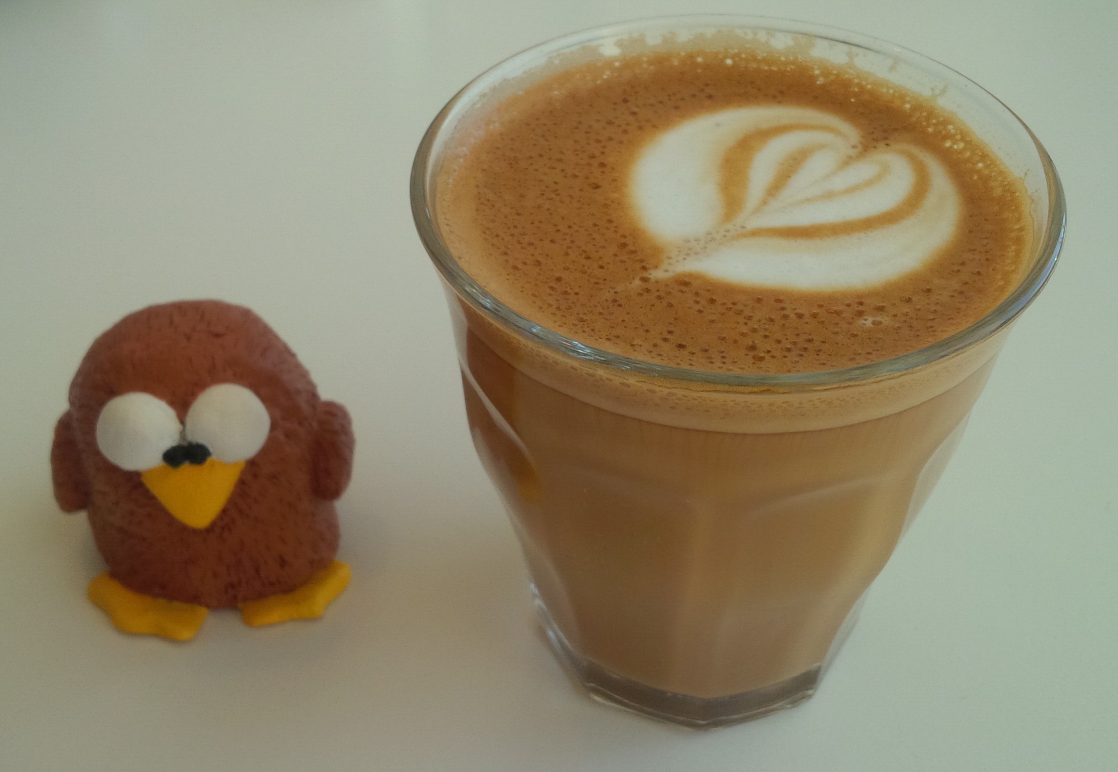 Read more about the article The Cortado Owl