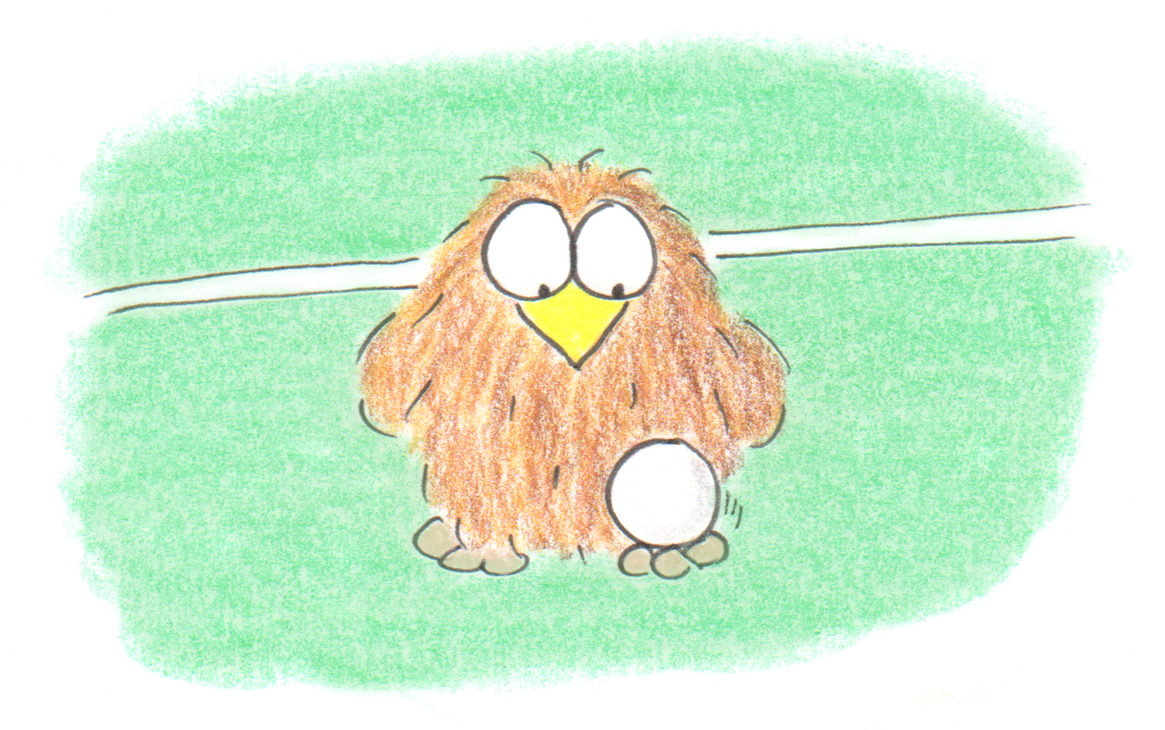 niki owl soccer
