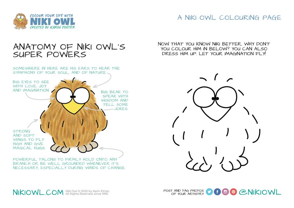 owl colouring pages - Anatomy of Niki Owl