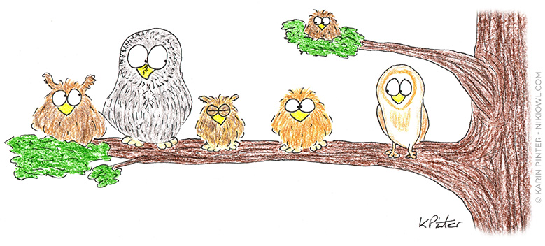 Facts about owls cartoon © Karin Pinter