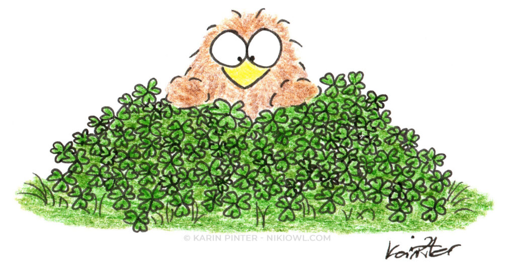 Niki luck owl cartoon